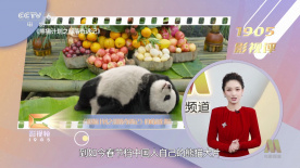 ai换脸女明星被躁在线观看